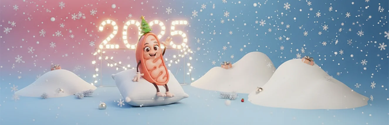 Итоги года с Vilavi